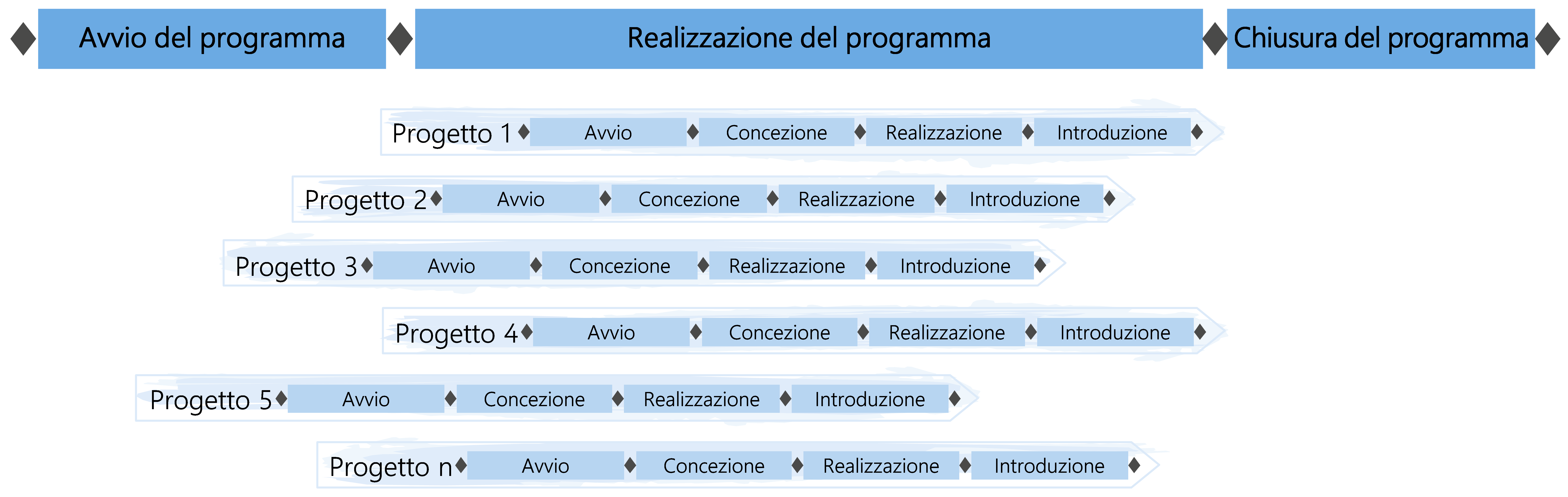 Figura 31: I progetti possono essere raggruppati in programmi