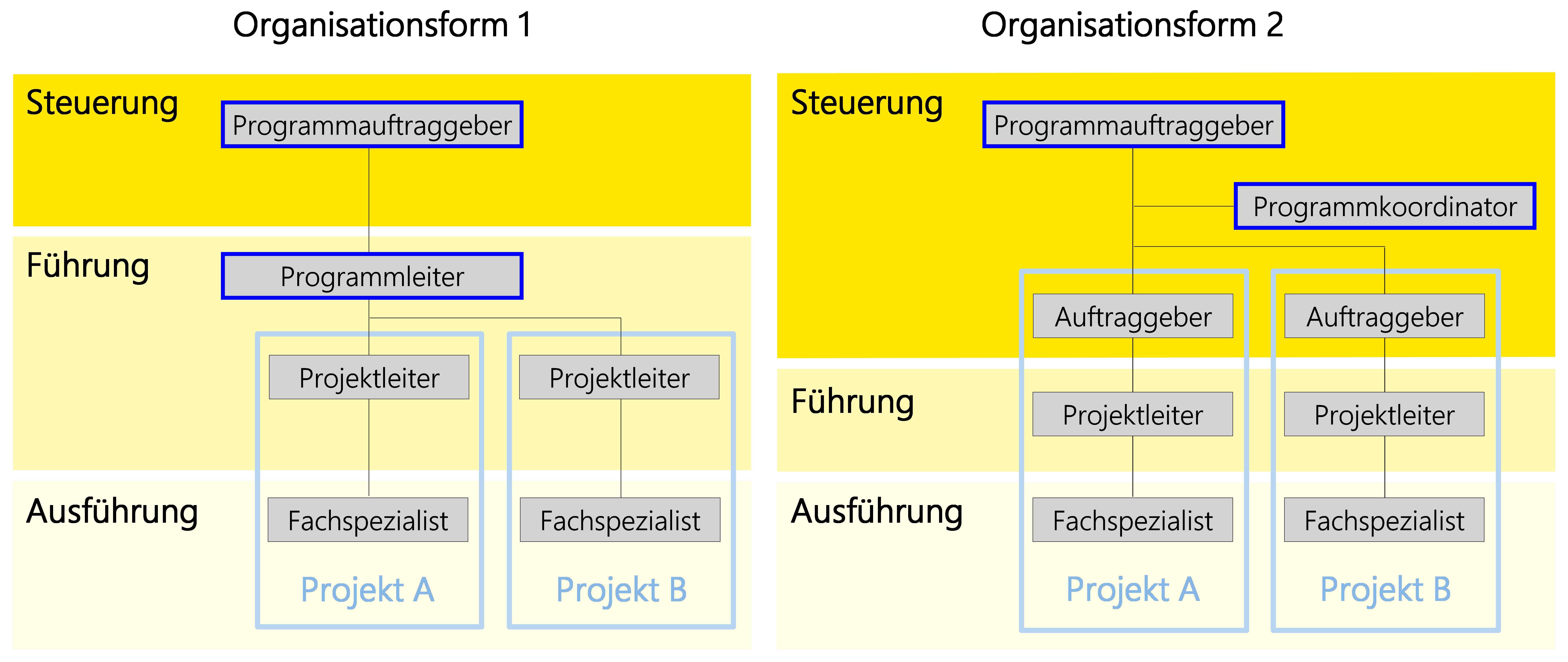 Abbildung 7: Übersicht über die zwei dokumentierten Organisationsformen