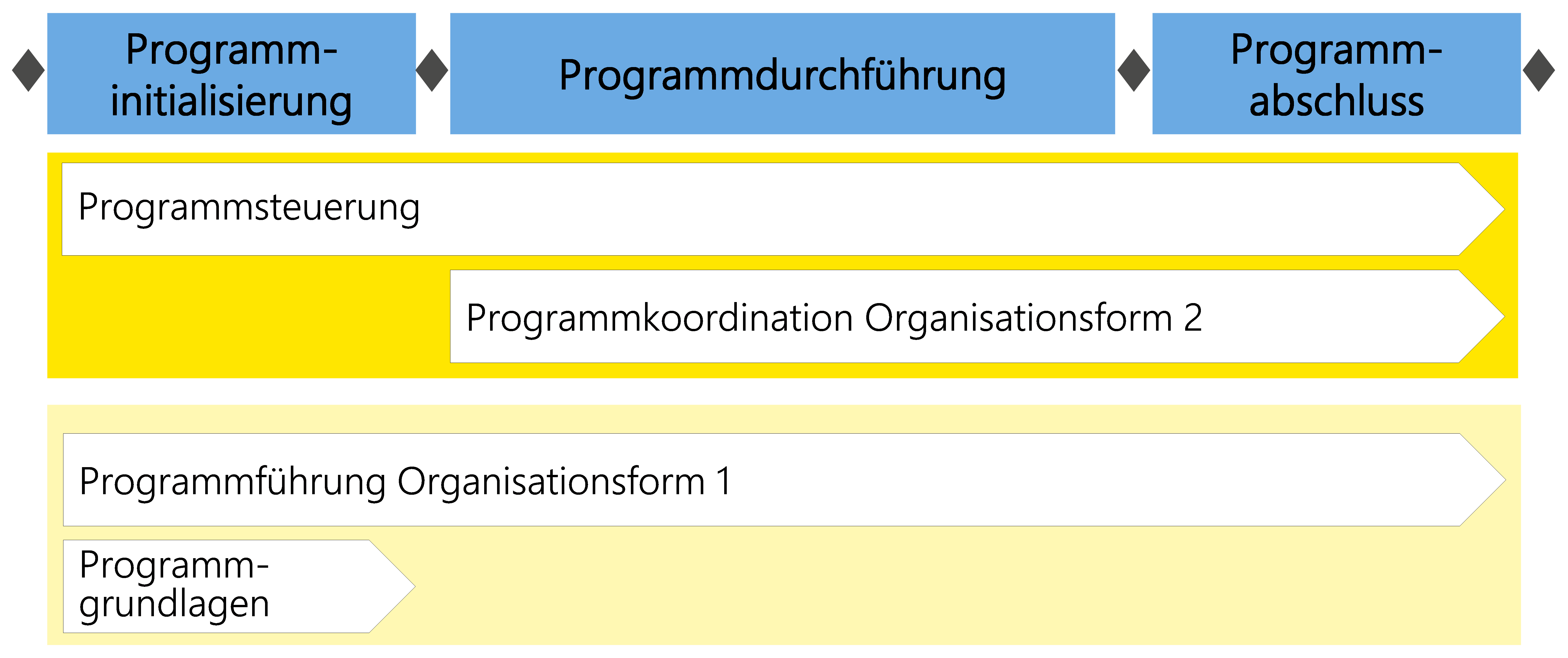 Abbildung 6: Übersicht über die Module im Programmmanagement